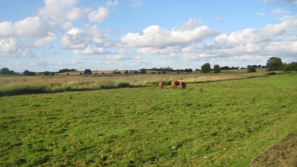 Bremsmaj Farm Holiday Kværs Exterior foto